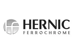 Strengths Institute CliftonStrengths client hernic